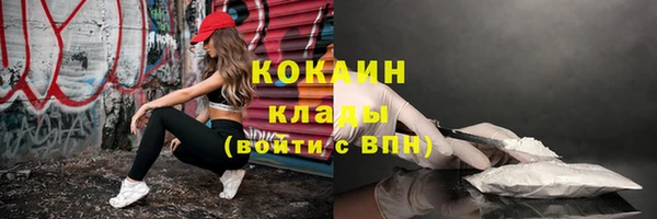 шишки Волосово