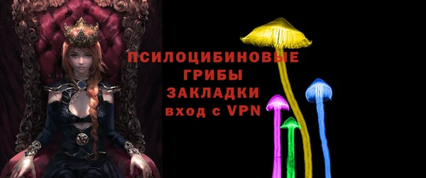 шишки Волосово