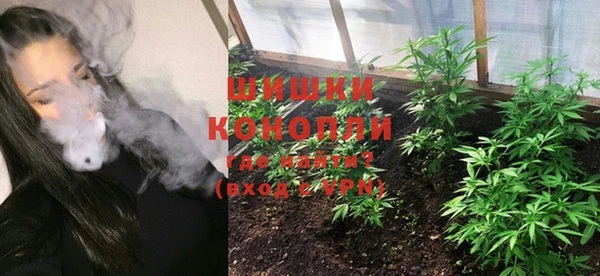 шишки Волосово