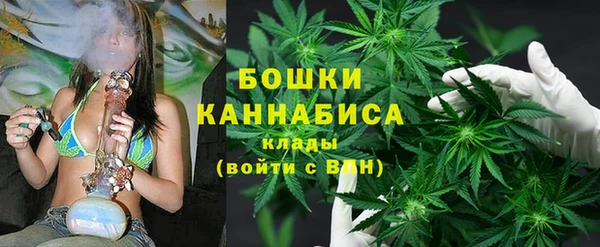 шишки Волосово