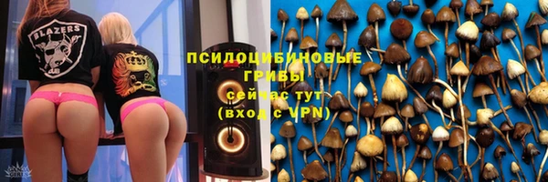 тгк Верея