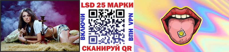 купить закладку  Камешково  Марки N-bome 1,5мг 