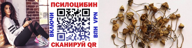 ОМГ ОМГ ONION  Камешково  Галлюциногенные грибы MAGIC MUSHROOMS 